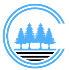 Logo Light Blue Icon
